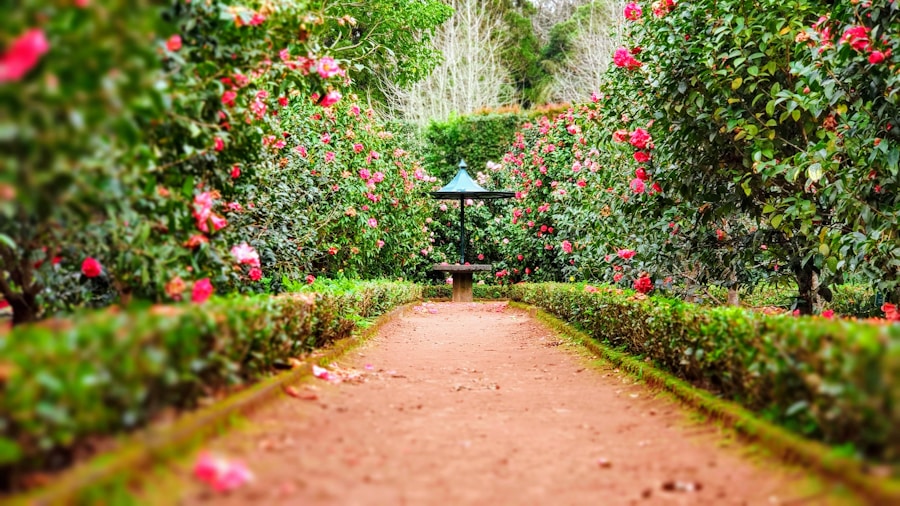 Luxury garden stone pathway with layered planting
