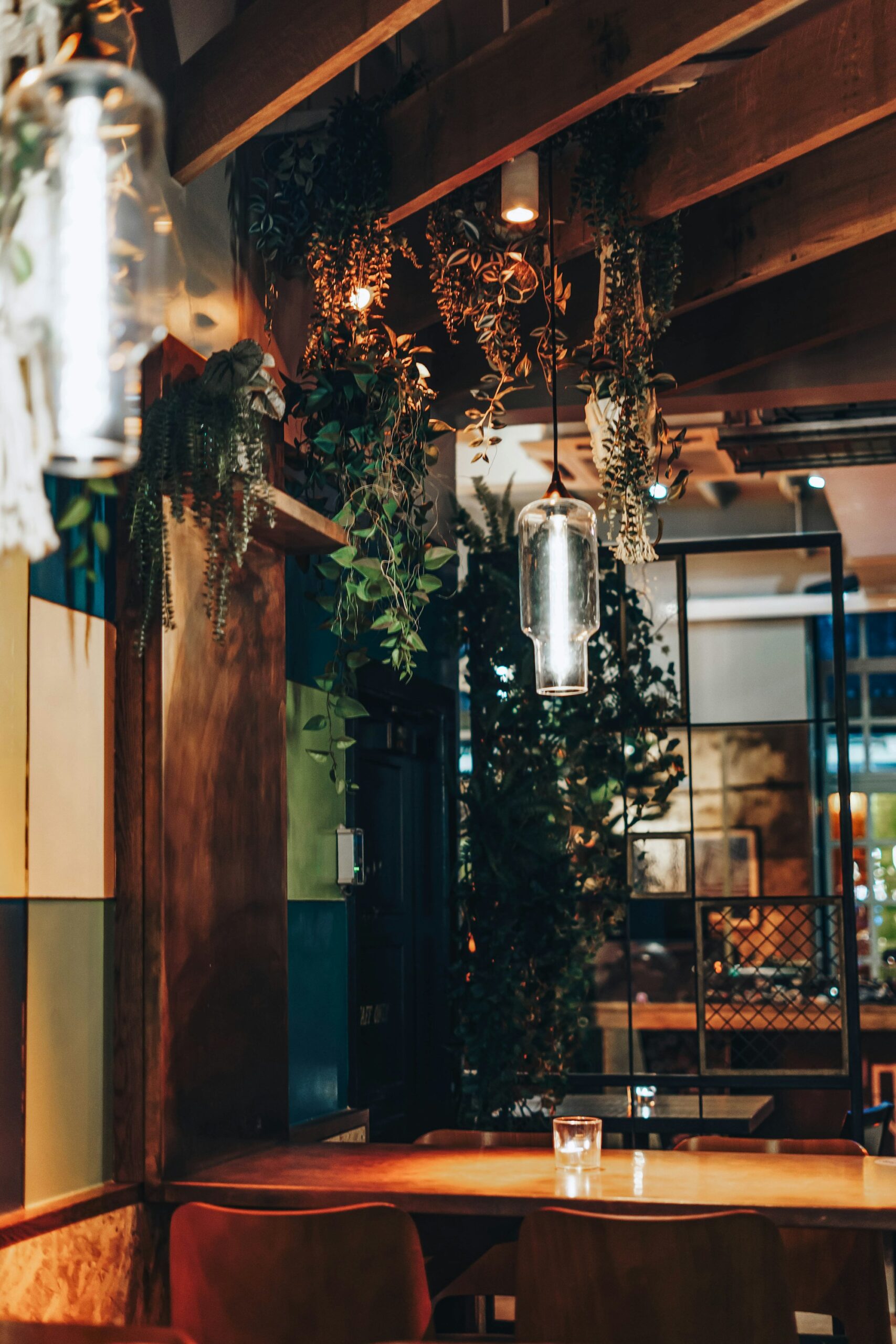 Boutique hospitality interior, warm and atmospheric