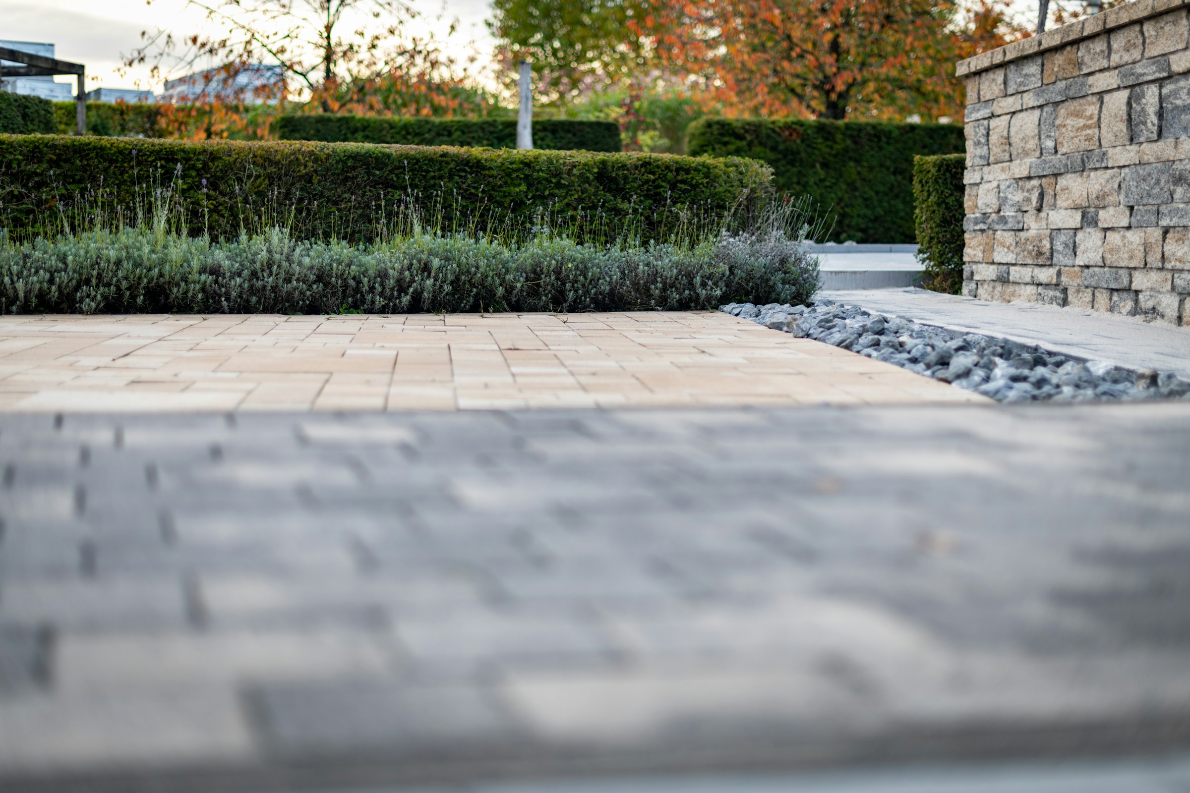Residential garden pathway where architecture, hardscape and planting work together