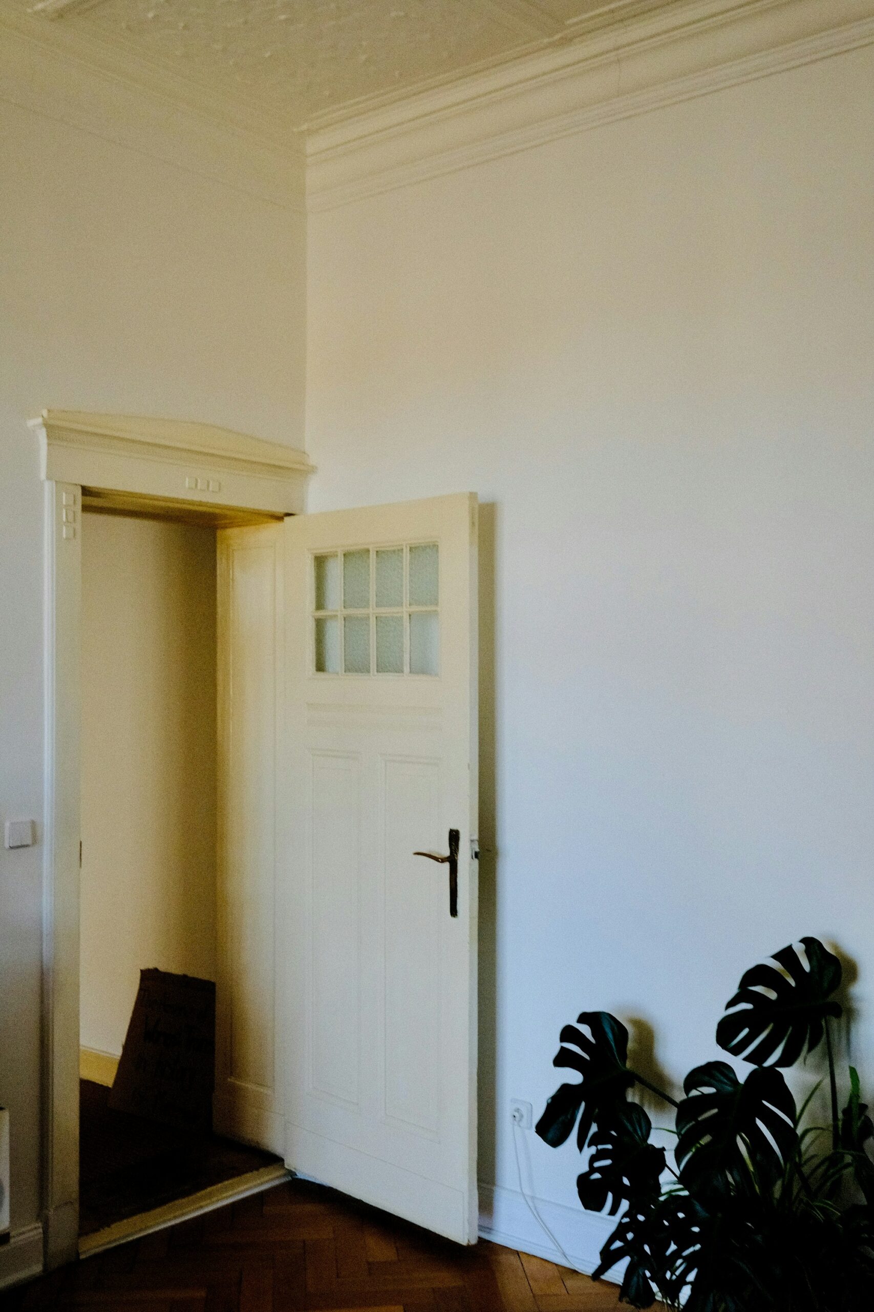 Interior opening onto a garden, complete interior and landscape project